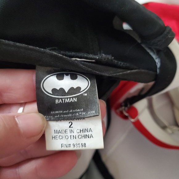 Harley Quinn 2 piece bathing suit - Picture 2 of 4